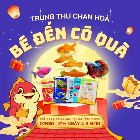 Trung Tín Cá Cảnh