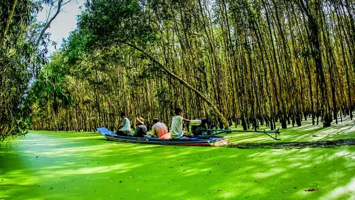 Viet Nam Co Tuong Dai Ca Basa Nam O Tinh Nao Viet Nam Co Tuong Dai Ca Basa Nam O Tinh Nao