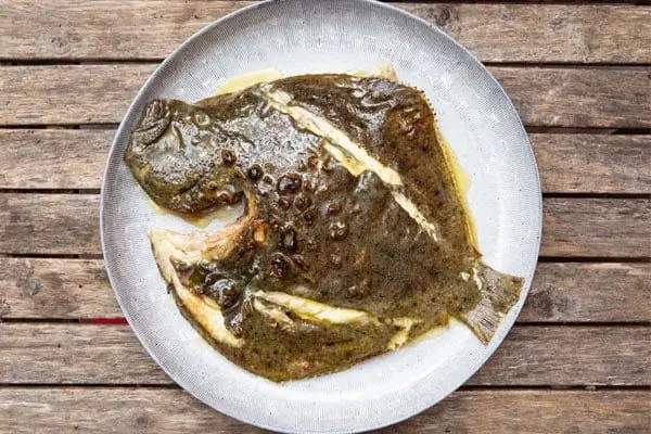 Turbot Là Cá Gì