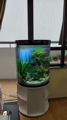 Ứng Dụng
