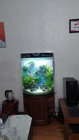 Ưu Điểm