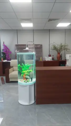 Kính Uốn Cong Bể Cá Là Gì?