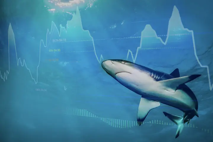 Ai Làcá Mập Trong Forex? Mục Đích Và Vai Trò Của Cáccá Mập Là Gì?