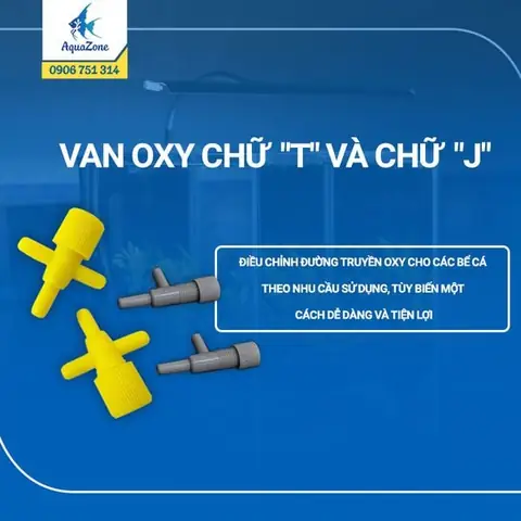 Van Điều Chỉnh Oxy Hồ Cá: Hướng Dẫn Chọn Mua Và Sử Dụng Hiệu Quả Cho Người Mới Bắt Đầu
