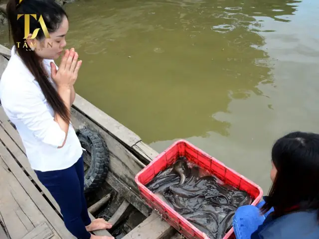 Một Số Điều Gia Chủ Cần Lưu Ý Về Nghi Thức Và Văn Khấn Phóng Sinh Đơn Giản