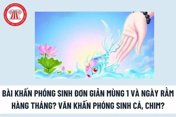 Phóng Sinh Là Gì?
