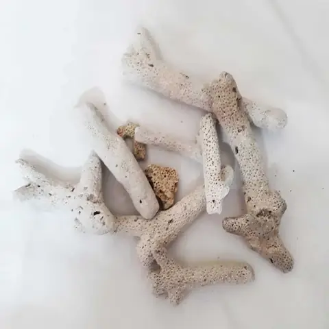 San Hã´