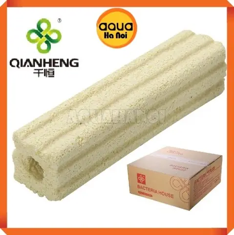 Vật Liệu Lọc Cho Hồ Cá Rồng: Cẩm Nang Chọn Lọc Hiệu Quả & Dễ Dàng