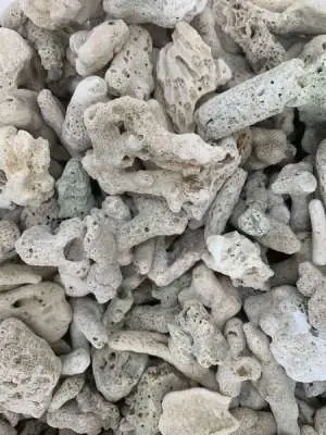 4/ San Hô Lọc Nước