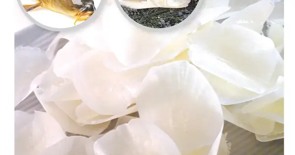 Vảy Cá Có Tác Dụng Gì: Lợi Ích Sức Khỏe, Ứng Dụng Và Lưu Ý Khi Sử Dụng