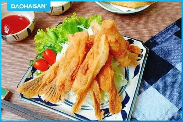 Vây Cá Là Gì: Cấu Tạo, Chức Năng Và Vai Trò Trong Đời Sống