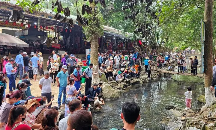 Giới Thiệu Về Suối Cá Thần Cẩm Lương