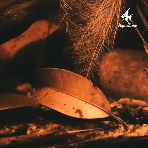 Phương Pháp Tạo Vi Sinh Tự Nhiên
