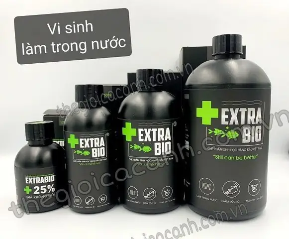 Men Vi Sinh Nuôi Cá Cảnh: Bí Quyết Giữ Nước Sạch, Cá Khỏe, Thoải Mái Nuôi Nhìn