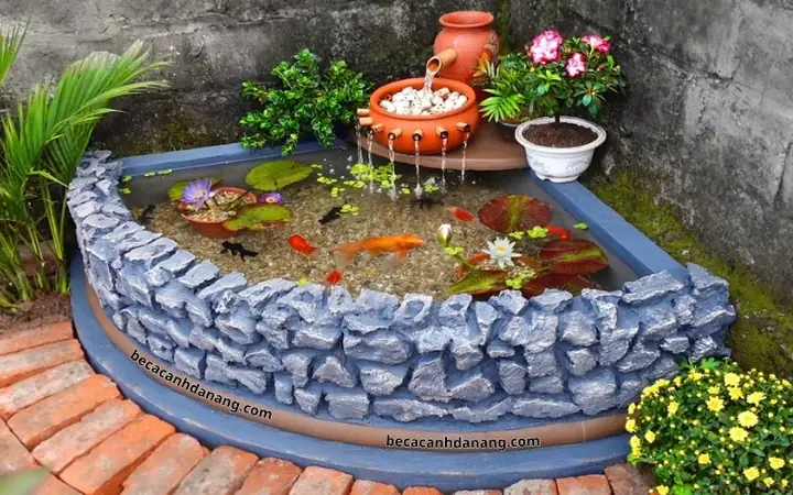 Hướng Dẫn Chọn Vị Trí Đặt Hồ Cá Ngoài Sân Hợp Phong Thủy Và Khoa Học