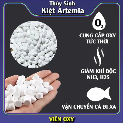 Công Dụng Viên Oxy Cho Cá, Cung Cấp Oxy Cho Bể Thủy Sinh