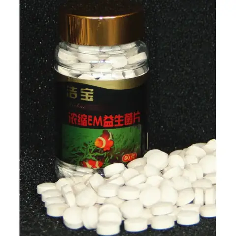 Viên Vi Sinh Cho Bể Cá Loại Nào Tốt? Top 5 Sản Phẩm Được Tin Dùng Nhất