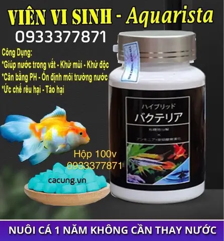 Viên Vi Sinh Cho Bể Cá Loại Nào Tốt? Top 5 Sản Phẩm Được Tin Dùng Nhất