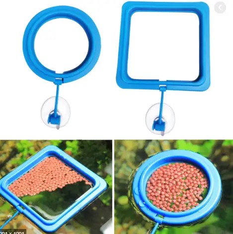 Hướng Dẫn Chọn & Sử Dụng Vòng Cho Cá Ăn Hiệu Quả Nhất