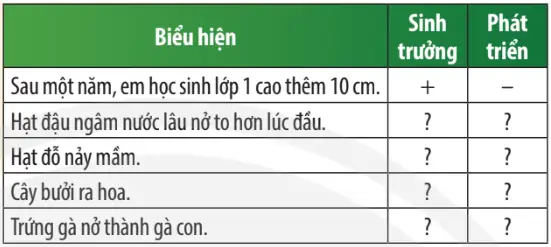 Vòng Đời Của Cá Chép