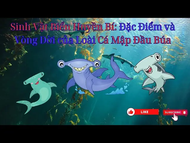 Vòng Đời Của Cá Mập: Hành Trình Từ Trứng Đến Bá Chủ Đại Dương