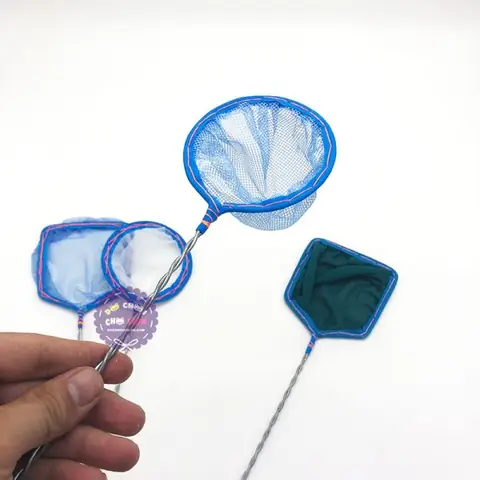 Vợt Bắt Cá Cảnh: Hướng Dẫn Chọn Mua Và Sử Dụng Hiệu Quả