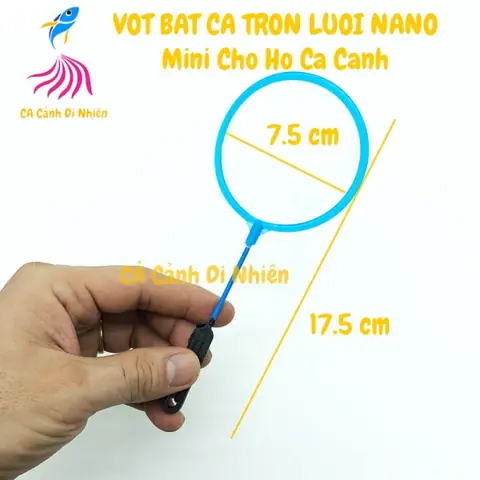 Vợt Bắt Cá Cảnh: Hướng Dẫn Chọn Mua Và Sử Dụng Hiệu Quả