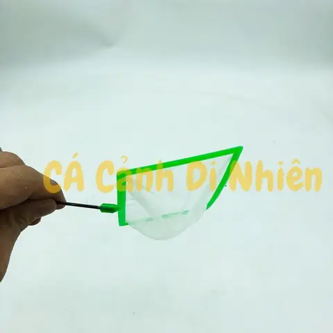 Vợt Nano Bắt Cá Vuông Lưới Nhỏ Vớt Bobo, Artemia, Lăng Quăng