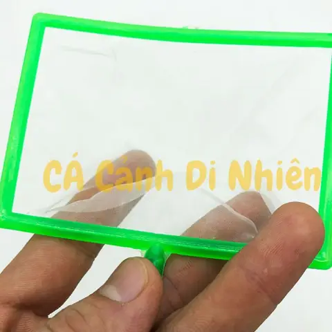 Vợt Nano Bắt Cá Vuông Lưới Nhỏ Vớt Bobo, Artemia, Lăng Quăng