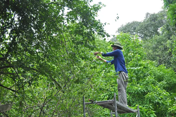 Sản Vô Giá Cho Thế Hệ Mai Sau