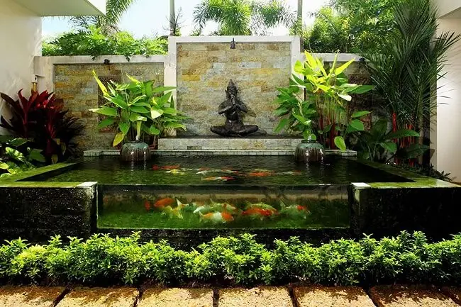Cách Xây Bể Cá Xi Măng Ngoài Trời