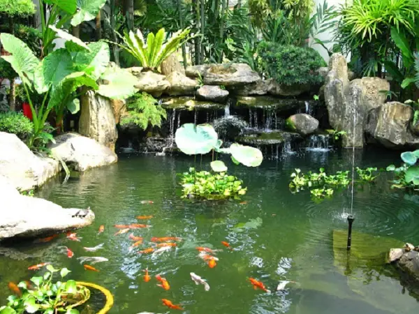 Lên Thiết Kế Và Tính Toán Chi Phí