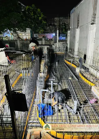 Chuẩn Bị Và Đào Hồ