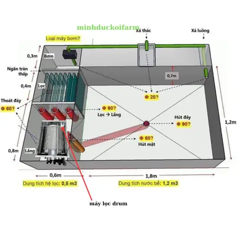 Bước 2 Phác Thảo Bản Vẽ Hồ Cá Koi