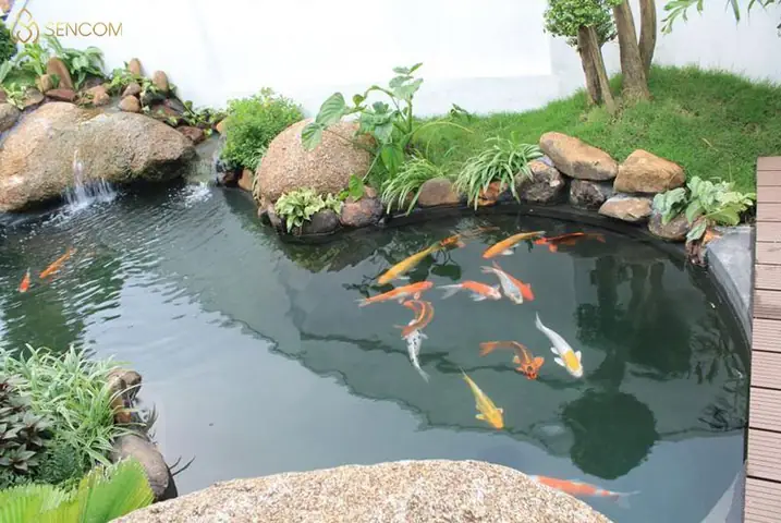 Dung Tích Của Hồ Cá