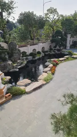 Bước 1 Lựa Chọn Vị Trí Xây Hồ Cá Koi