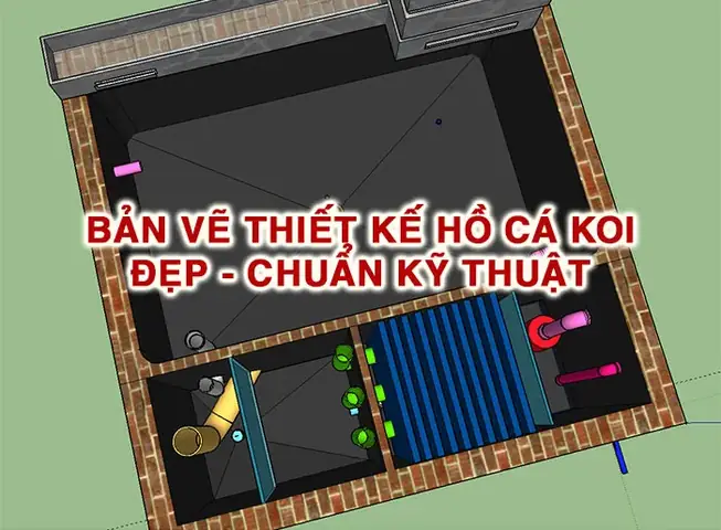 Bước 2 Phác Thảo Bản Vẽ Hồ Cá Koi