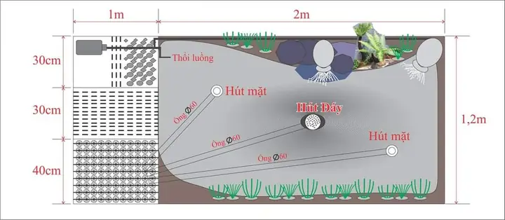 Bước 2 Phác Thảo Bản Vẽ Hồ Cá Koi
