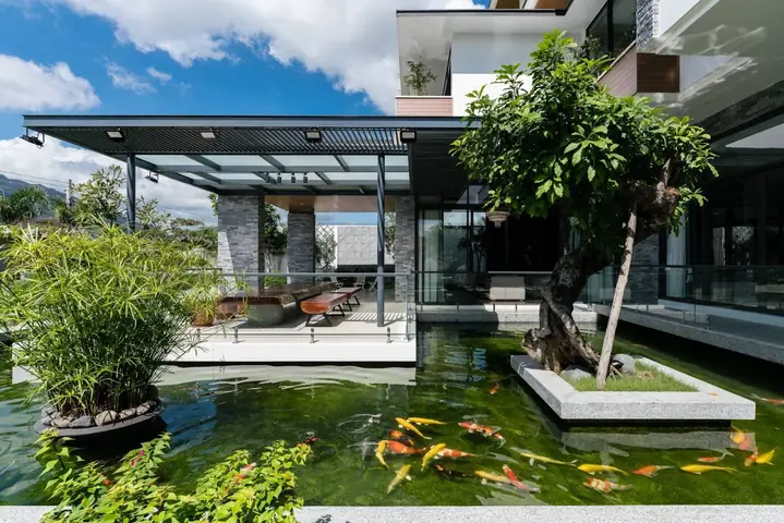 Xây Hồ Cá Trước Nhà