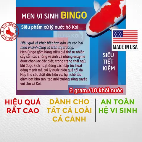 Các Bước Xử Lý Hồ Mới Trước Khi Thả Cákoi