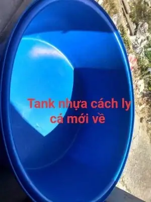 Nếu Anh Em Đinh Làm Một Hồ Cá Koi Mới Nhất Định Phải Lưu Ý Những Vấn Đề Này :