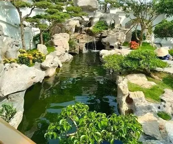 Cách Xử Lý Nước Hồ Cá Bị Rêu Xanh Bằng Việc Thay Đổi Chế Độ Cho Ăn Của Cá