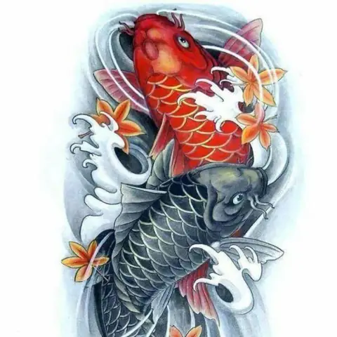 Tranh 2 Con Cá Chép Hợp Tuổi Nào?