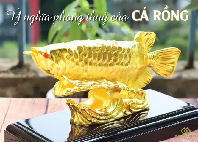 Cá Rồng Là Gì? Cá Rồng Là Gì?