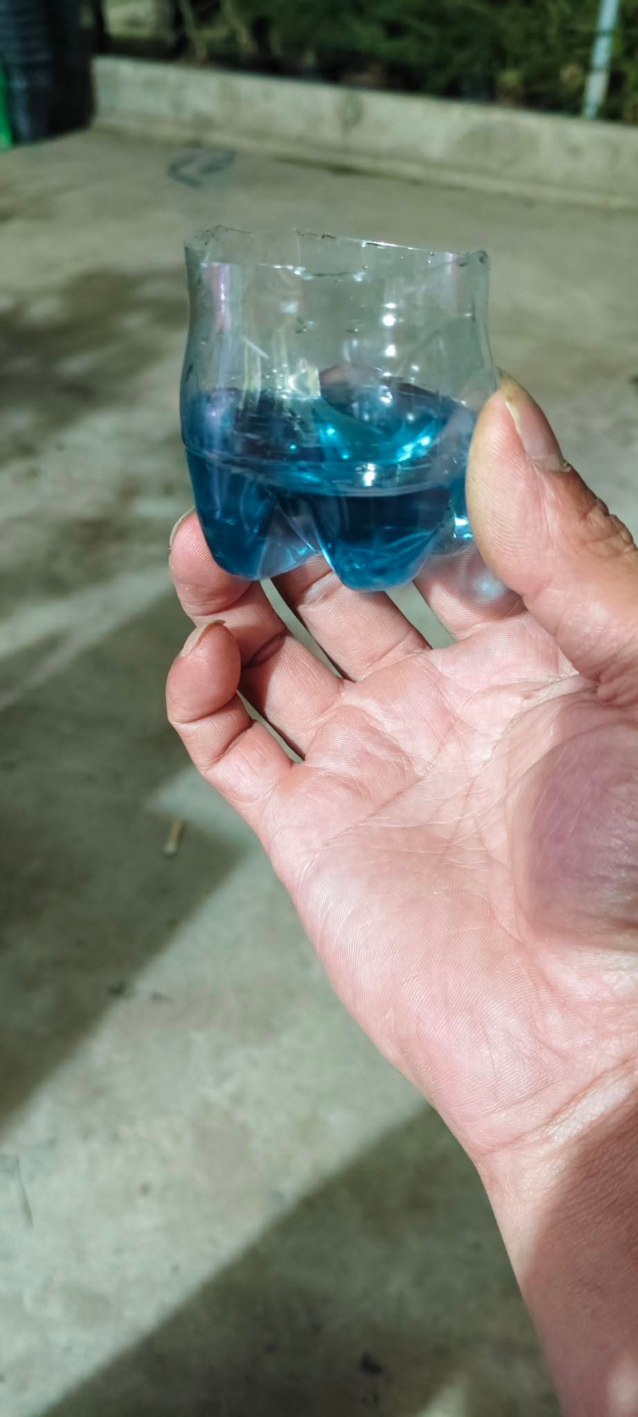 Độ pH cho cá bảy màu và cách duy trì ổn định hiệu quả Kiểm tra độ pH cho cá bảy màu bằng bộ test nước chuyên dụng