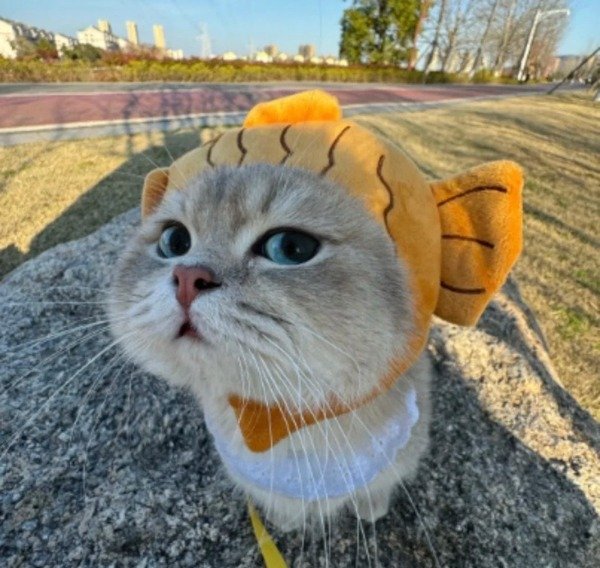 133+ Bộ sưu tập avatar bựa cute hài hước đang gây sốt