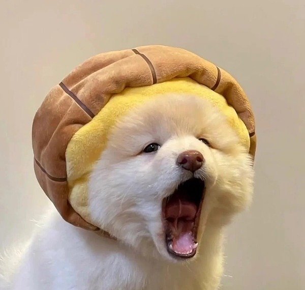 avatar bựa cute 2