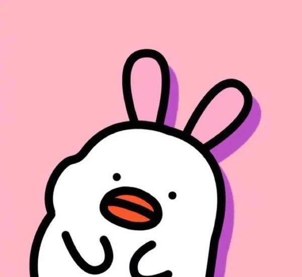 avatar bựa cute 21