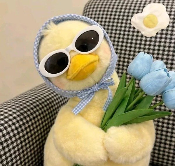 avatar bựa cute 33