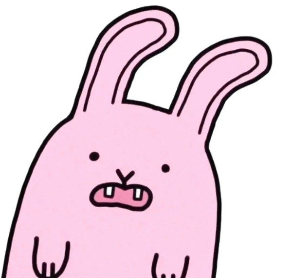 avatar bựa cute 8